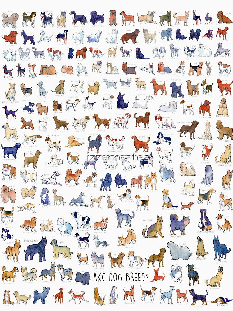 Every AKC Dog Breed by izzycreates