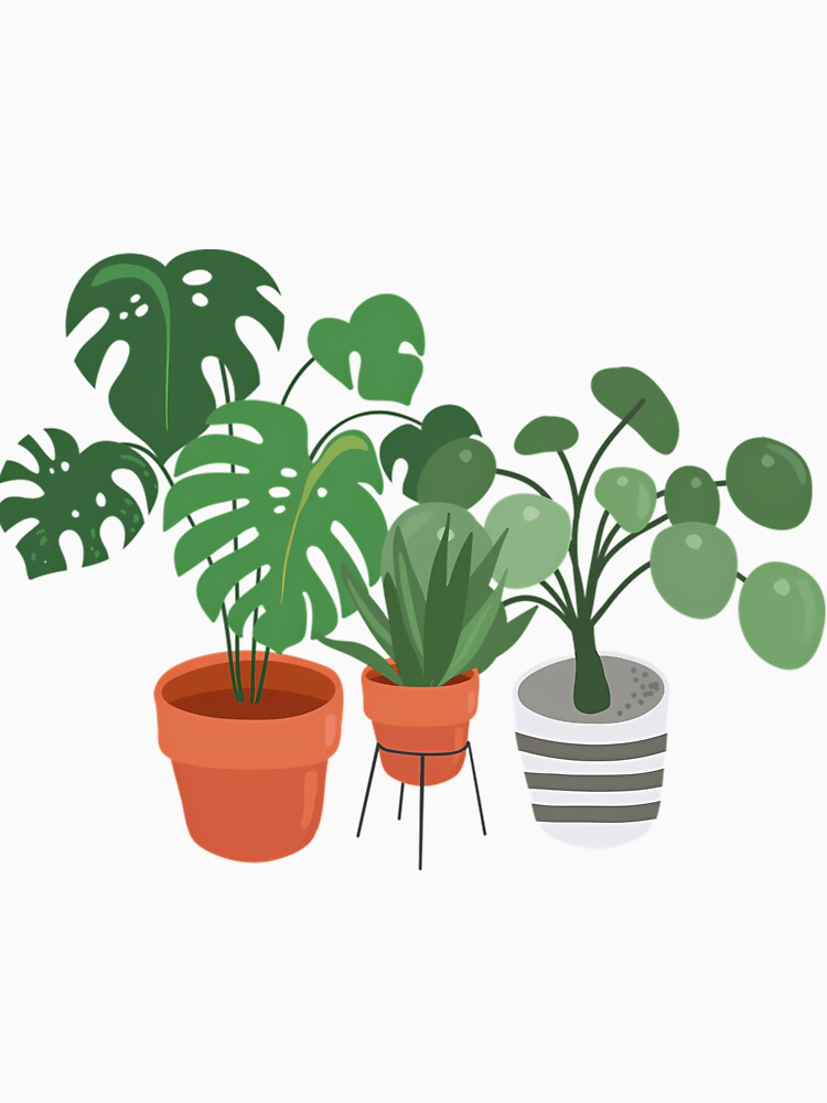 My Indoor Jungle Plants by thccelcdjhw5