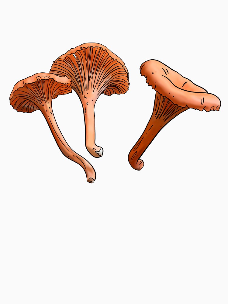 Cinnabar Chanterelle (Cantharellus cinnabarinus) by Cherie Brunetti
