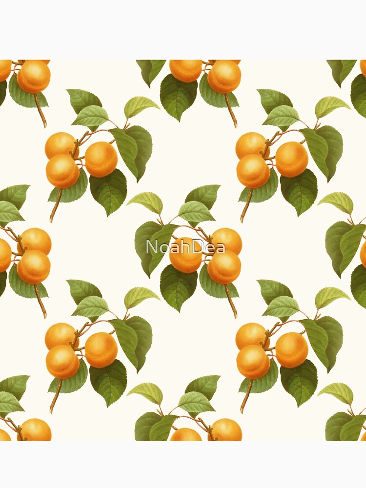 Apricot summer vintage design by NoahDea