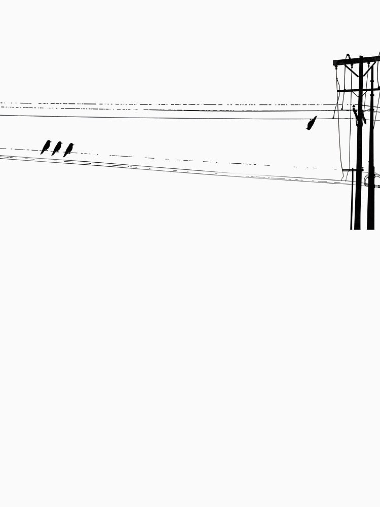 Birds on a Wire by Beebstreet
