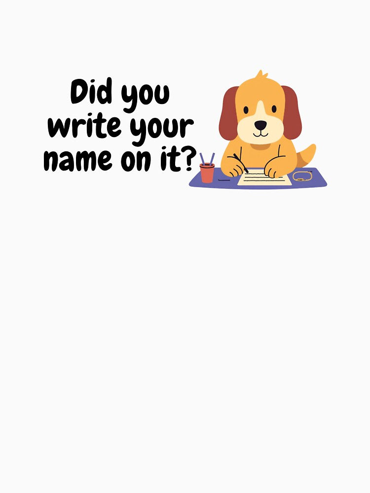 Did You Write - Teacher Hints by MotivatEd Learners