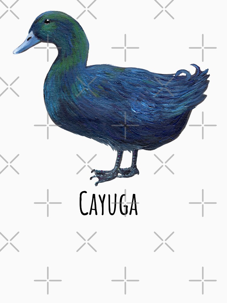 Male Cayuga Duck by Roy & Tiffany