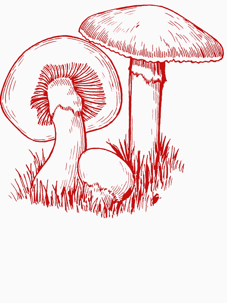 Vintage Red Mushroom by redflowerpixel