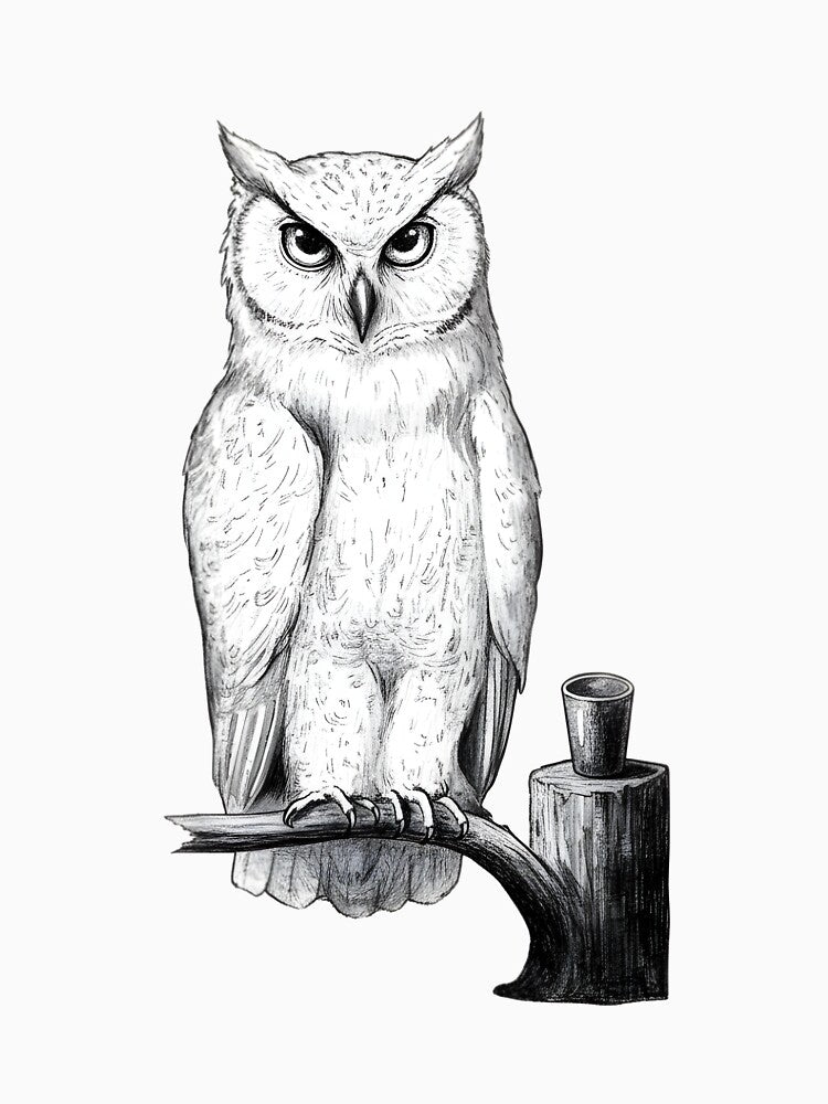 Owl by Naux | Design & Illustration