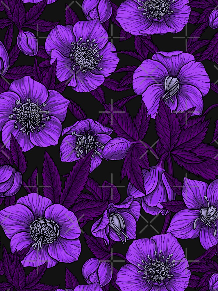 Violet Hellebores with magena leaves by Katerina Mitkova Kirilova