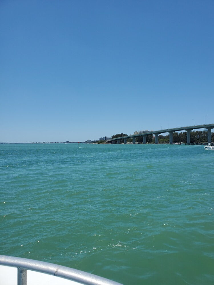 Clearwater by ShopLaPLANTA