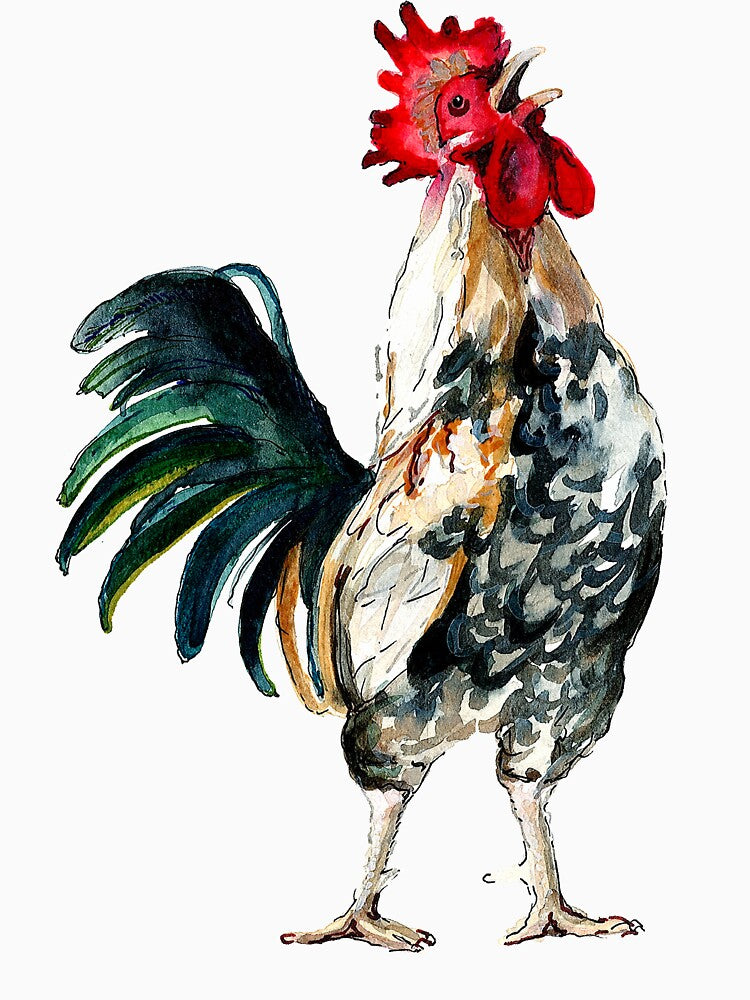 Rooster by Bridget Davidson