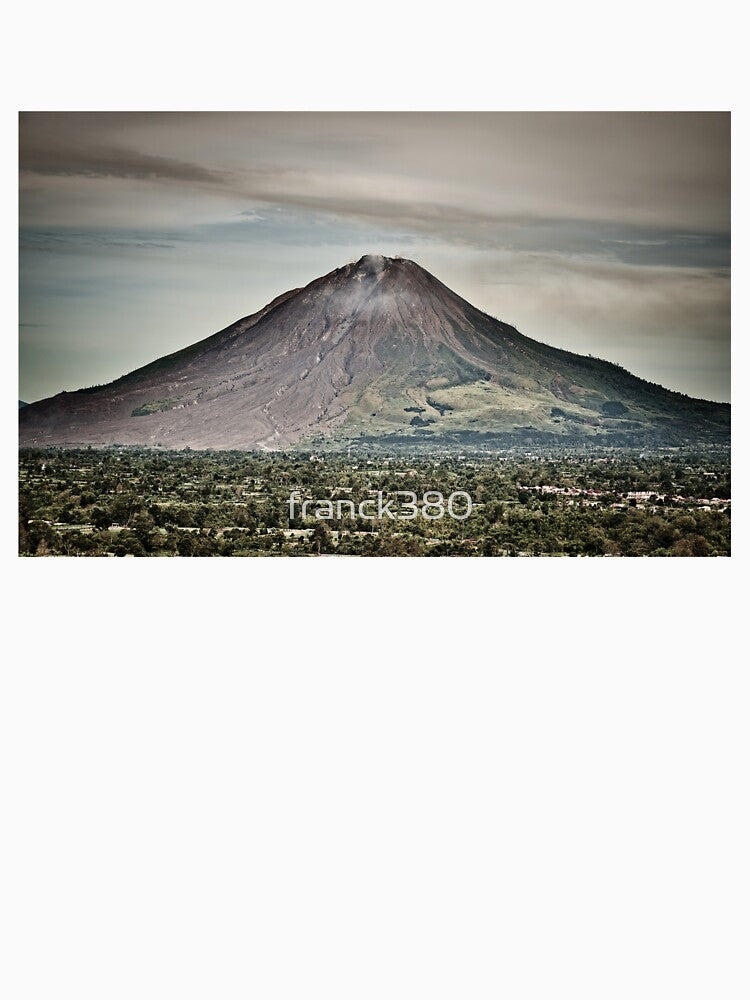 Volcanic landscape and dense vegetation in Sumatra by franck380
