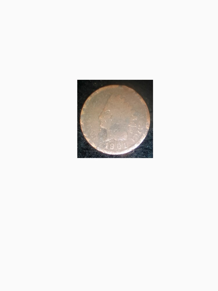 Indian head penny 1901 by Six Stars Sic