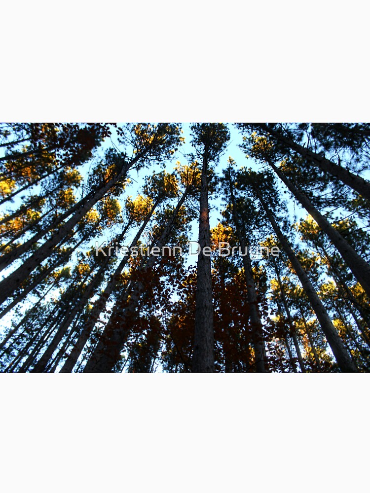 Up Into the Trees by Kriestienn De Bruyne