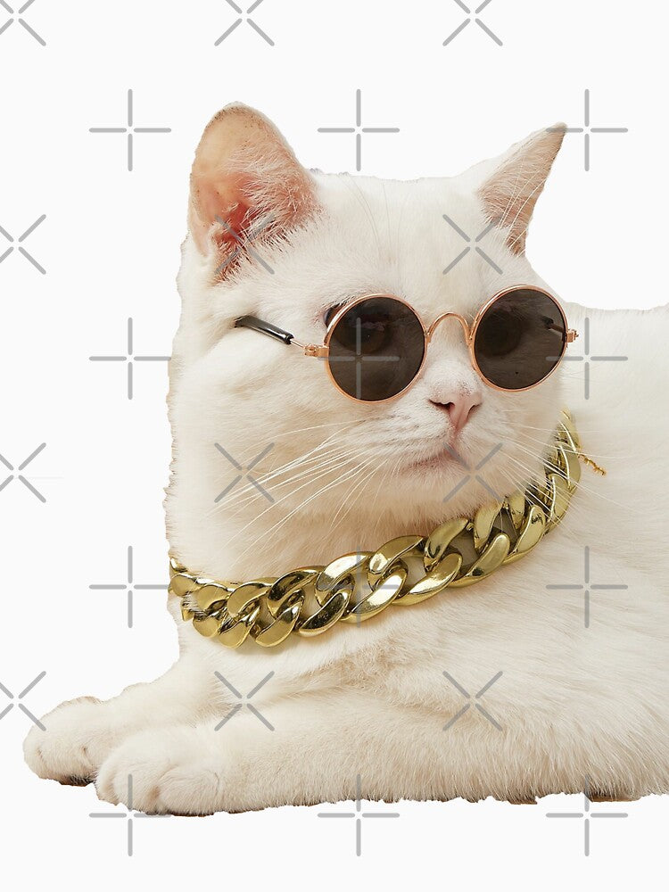 Cool Pet Necklace & Sunglasses by Brendaallen  Art