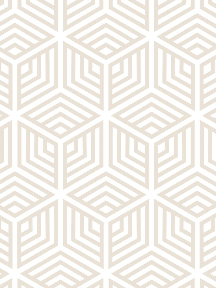 Beige and White Striped Cube Geometric Pattern Pairs DE 2022 Popular Color Crisp Muslin DE6212 by ColorOfTheYears