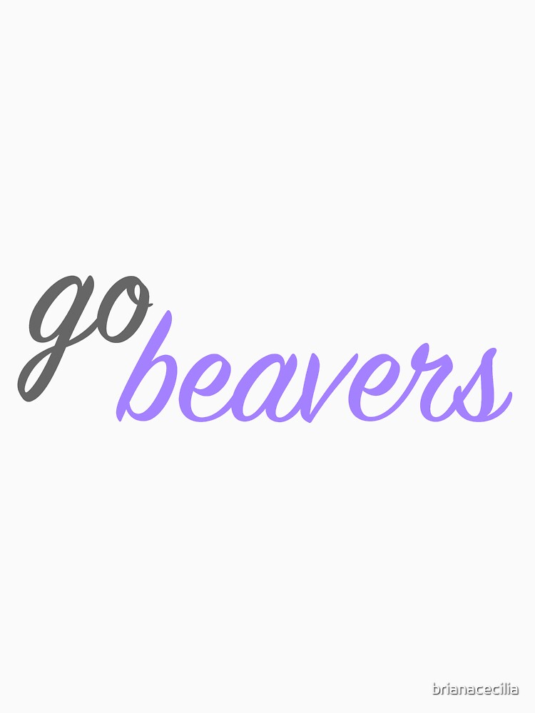 Go City College of New York Beavers by brianacecilia