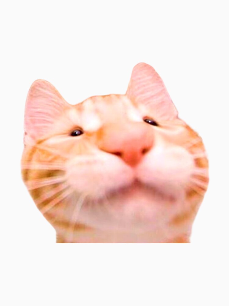 cat meme by tttatia