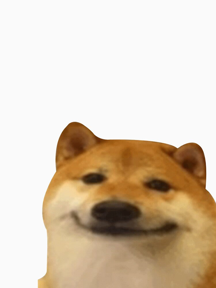 doge meme by tttatia
