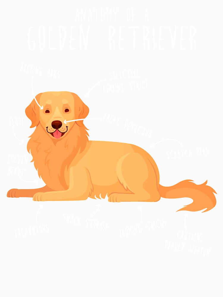 Anatomy of a Golden Retriever by Clara Hollins