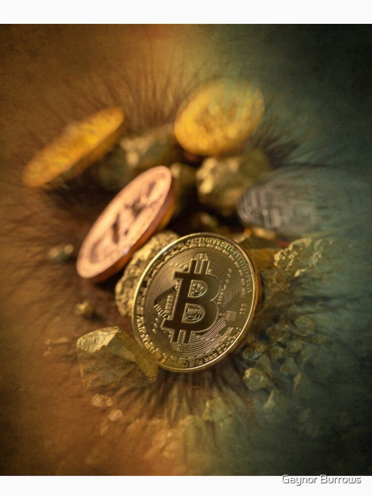 Bitcoin Crypto Wall Art by Gaynor Burrows