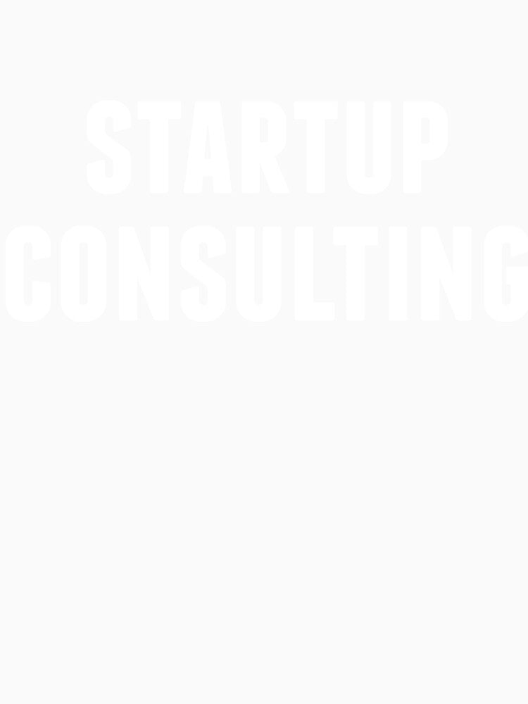 startup consulting by aksanchen