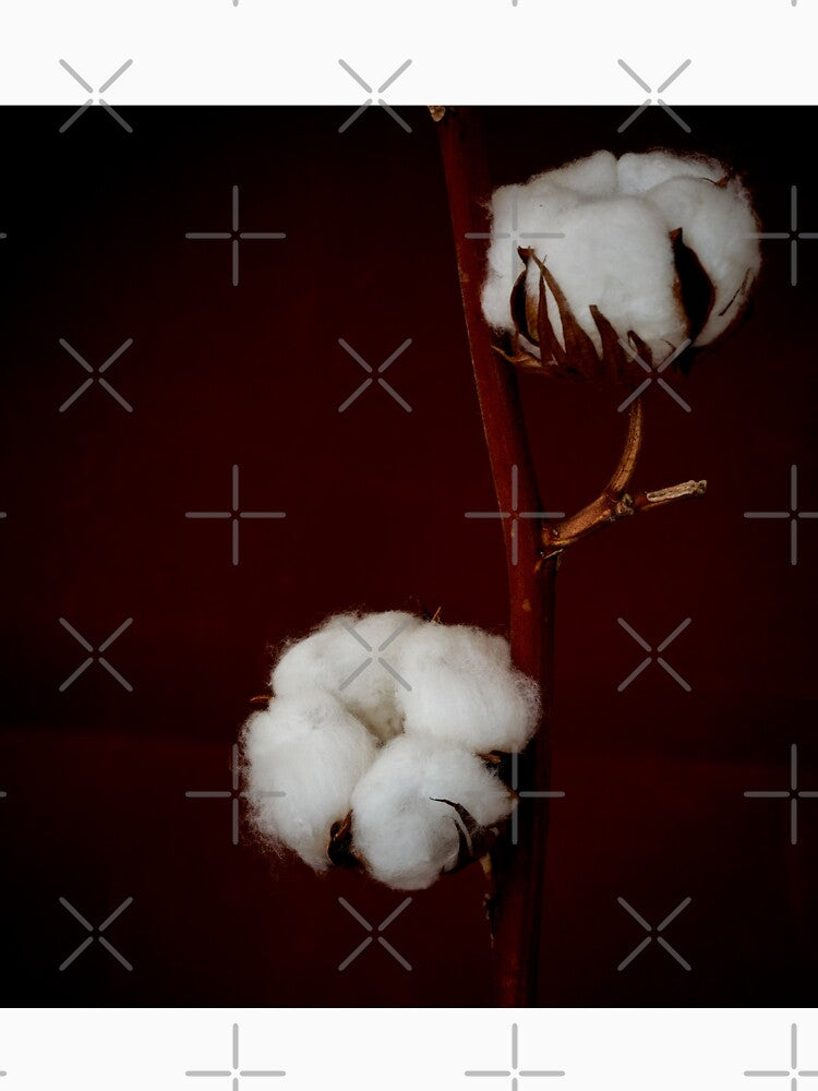 cotton flowers by IgorKovalenko