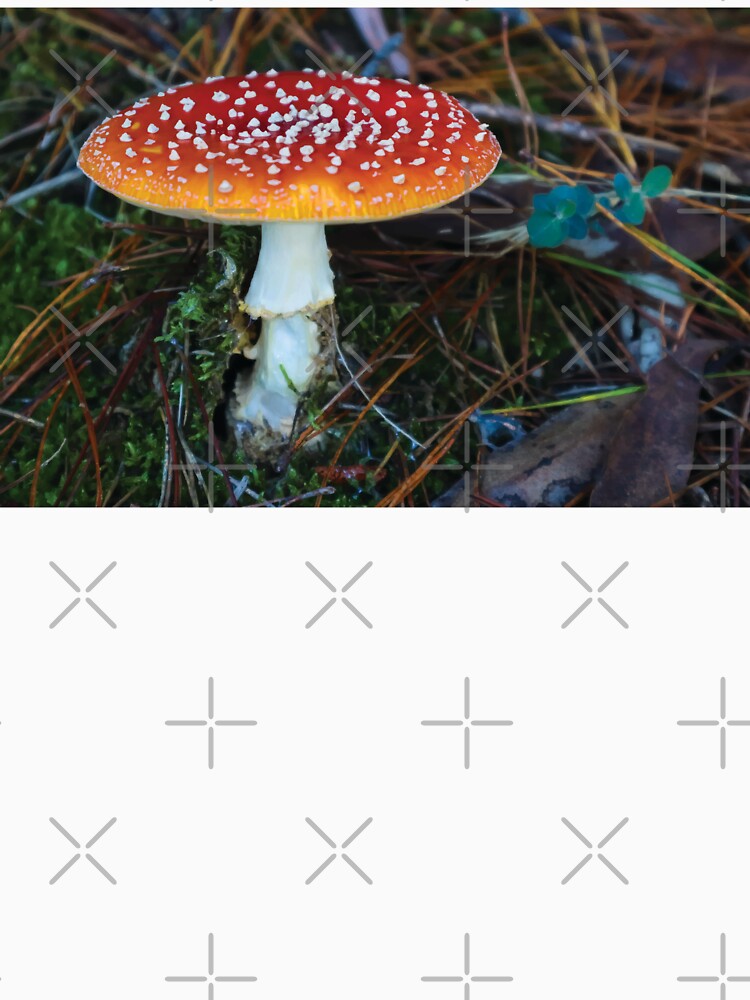 Amanita Muscaria Mushroom in Mossy Pine Forest by Maddy the Maker