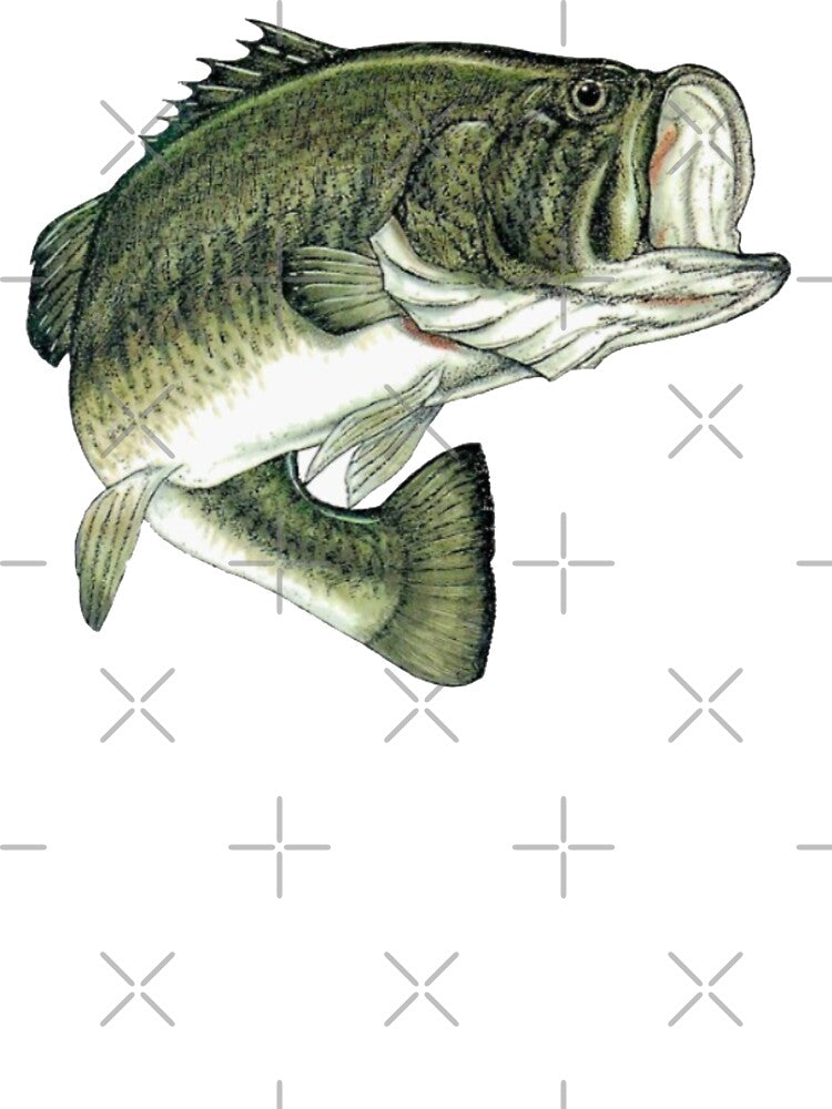 Largemouth Bass by Braxton Tanaka