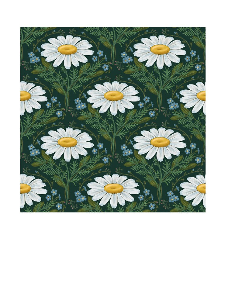 White daisies seamless pattern by and-creative2