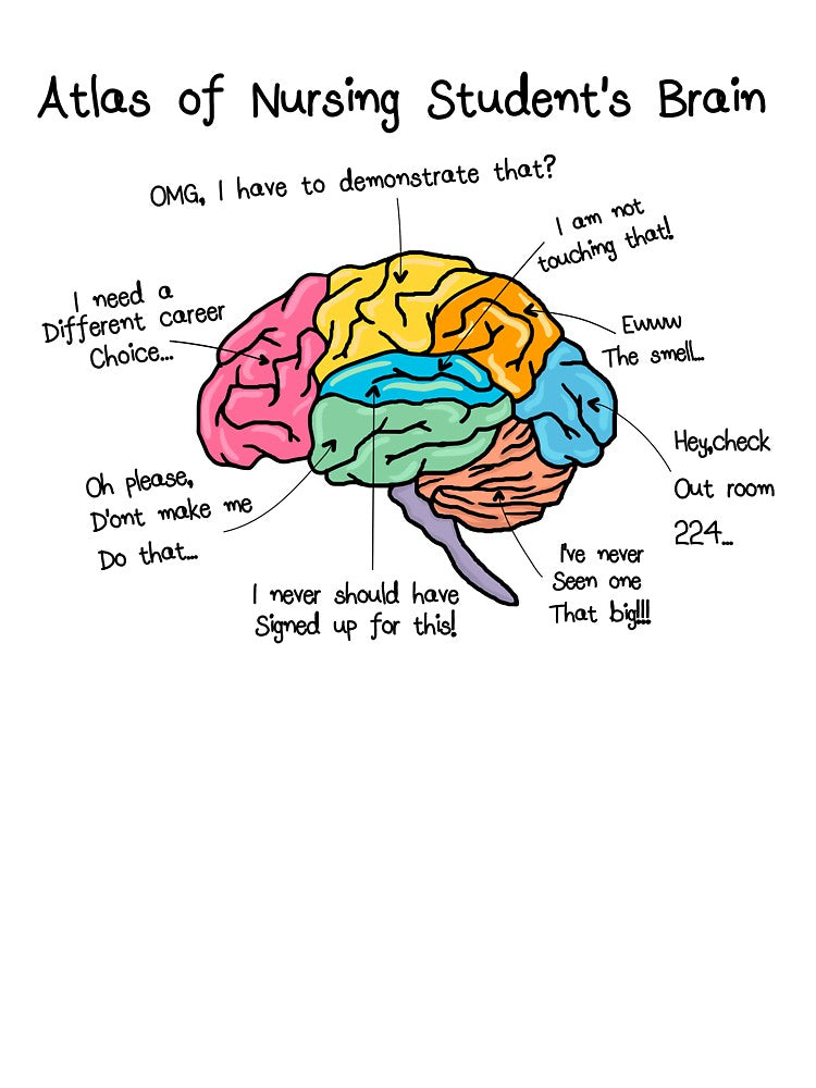 Nursing Student's Brain by Raminovitch
