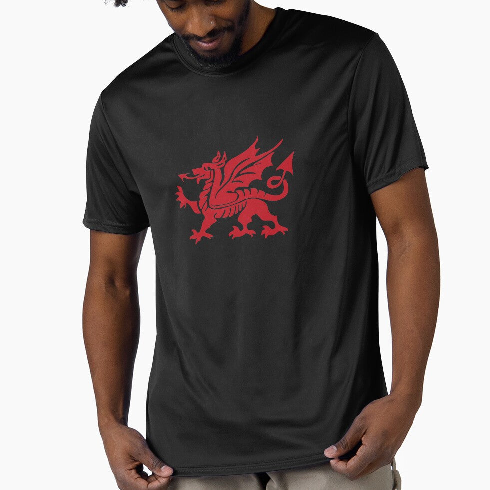 Y Ddraig Goch, Welsh Dragon Large by AHMTheBeesTees