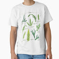 Ferns species collection botanical illustration by Onyria Art