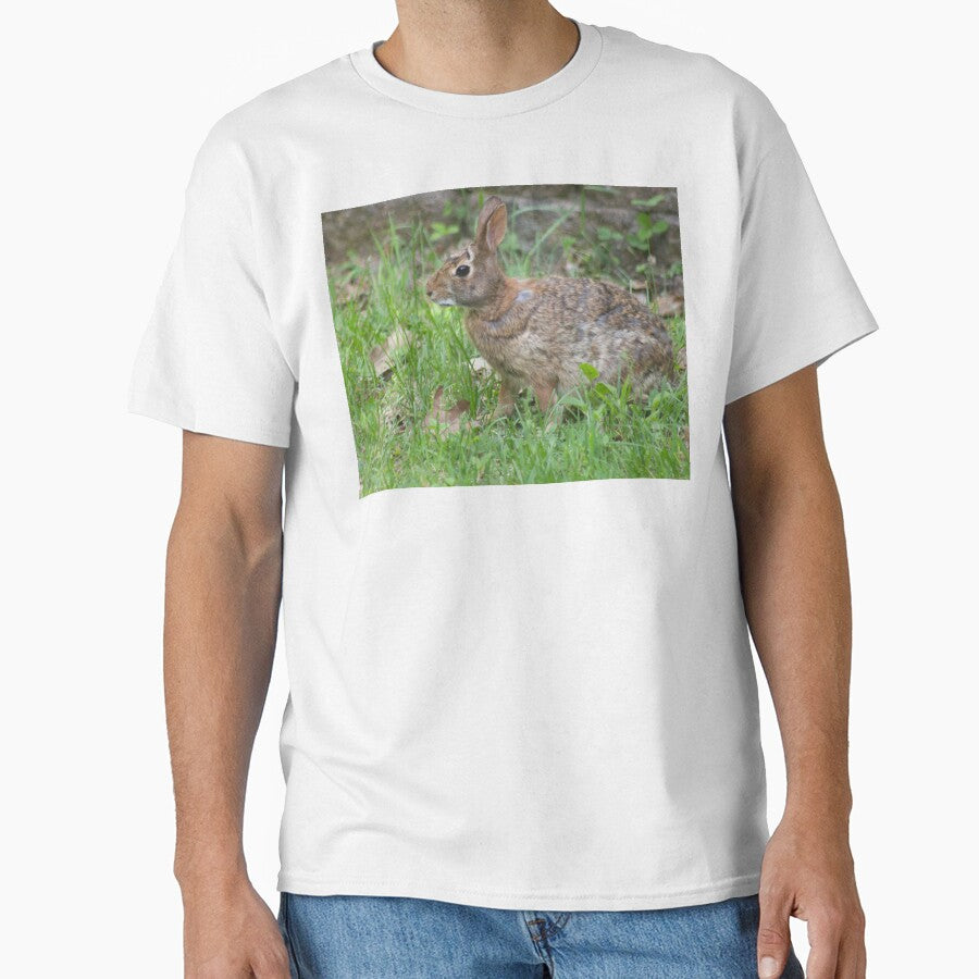 Cotton Tail in Front Yard by Perspective Wings