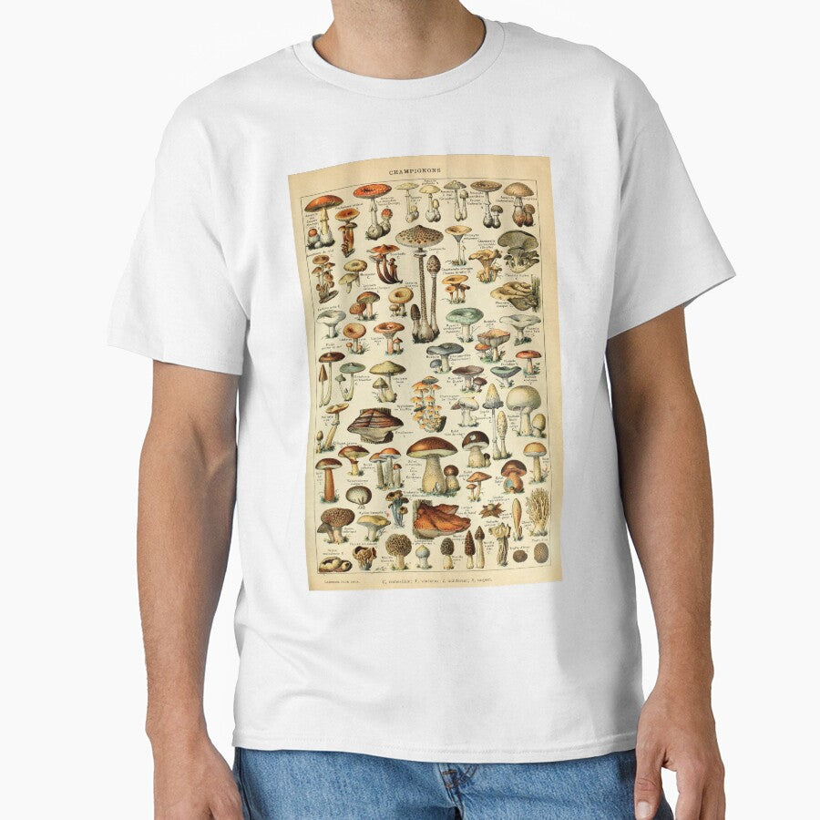 Vintage Mushroom Diagram by haychis
