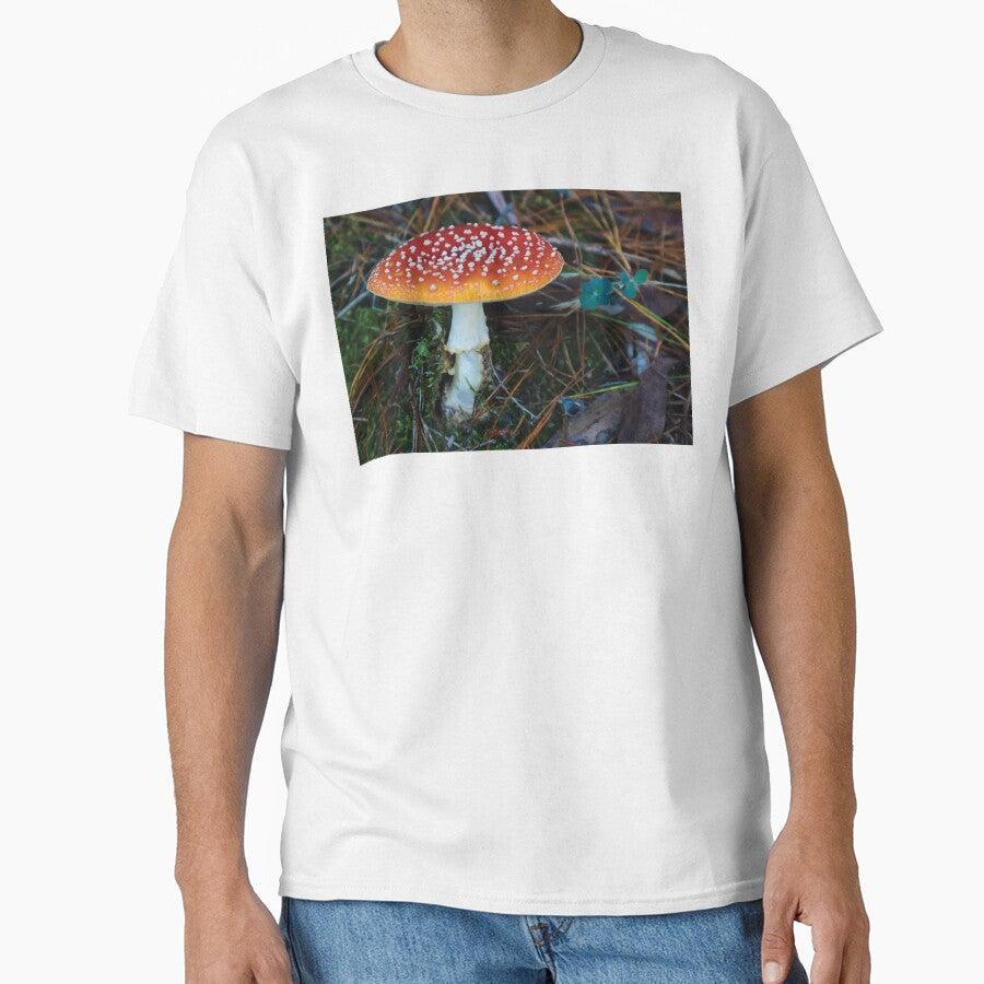 Amanita Muscaria Mushroom in Mossy Pine Forest by Maddy the Maker