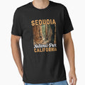Sequoia National Park California Nature Outdoor by Valentingpni