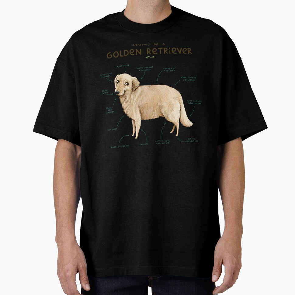 Anatomy of a Golden Retriever by SophieCorrigan