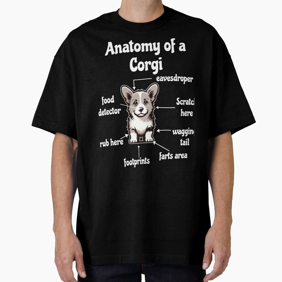 Korgi Dog Anatomy of a Corgi by Digitayaa