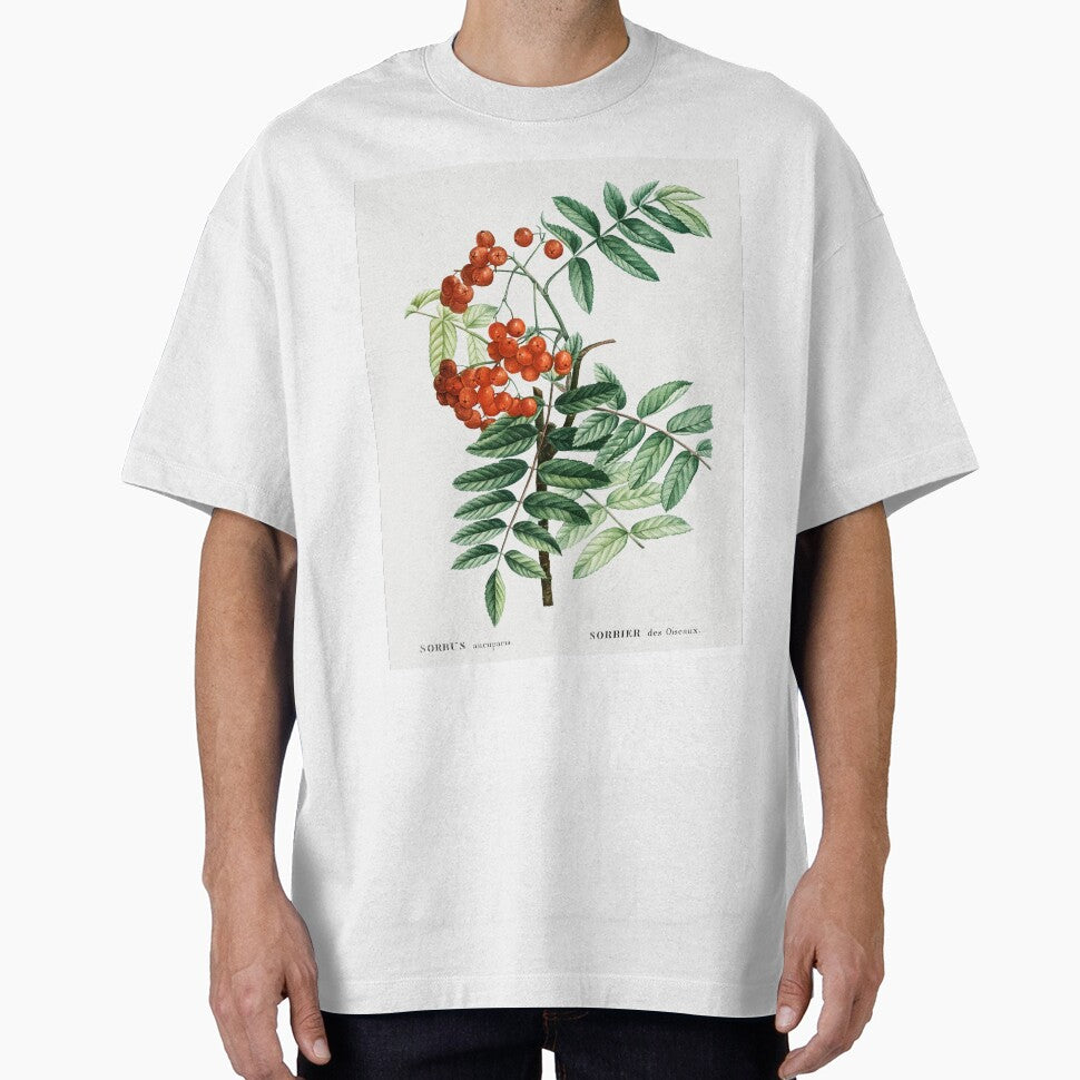 Mountain Ash Botanical Illustration by TheRetroArtRoom