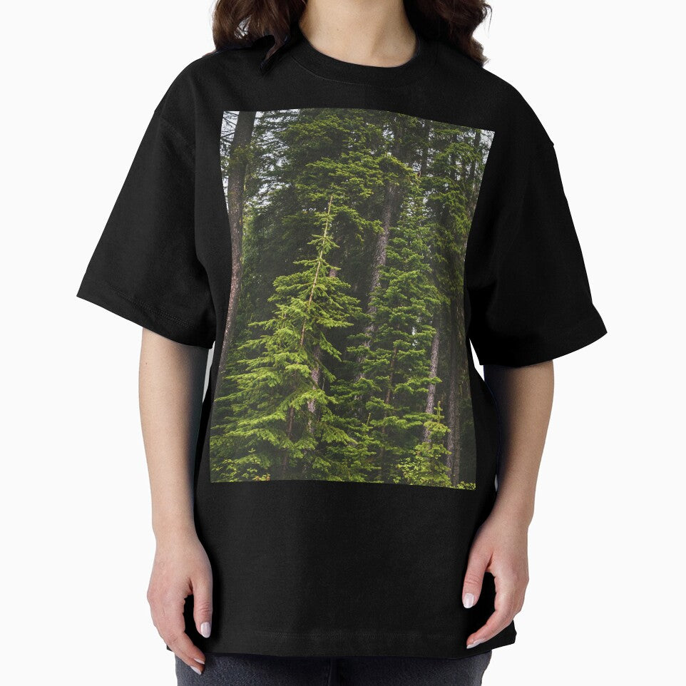 Magical Evergreen Mountain Woods by Amy Mitchell