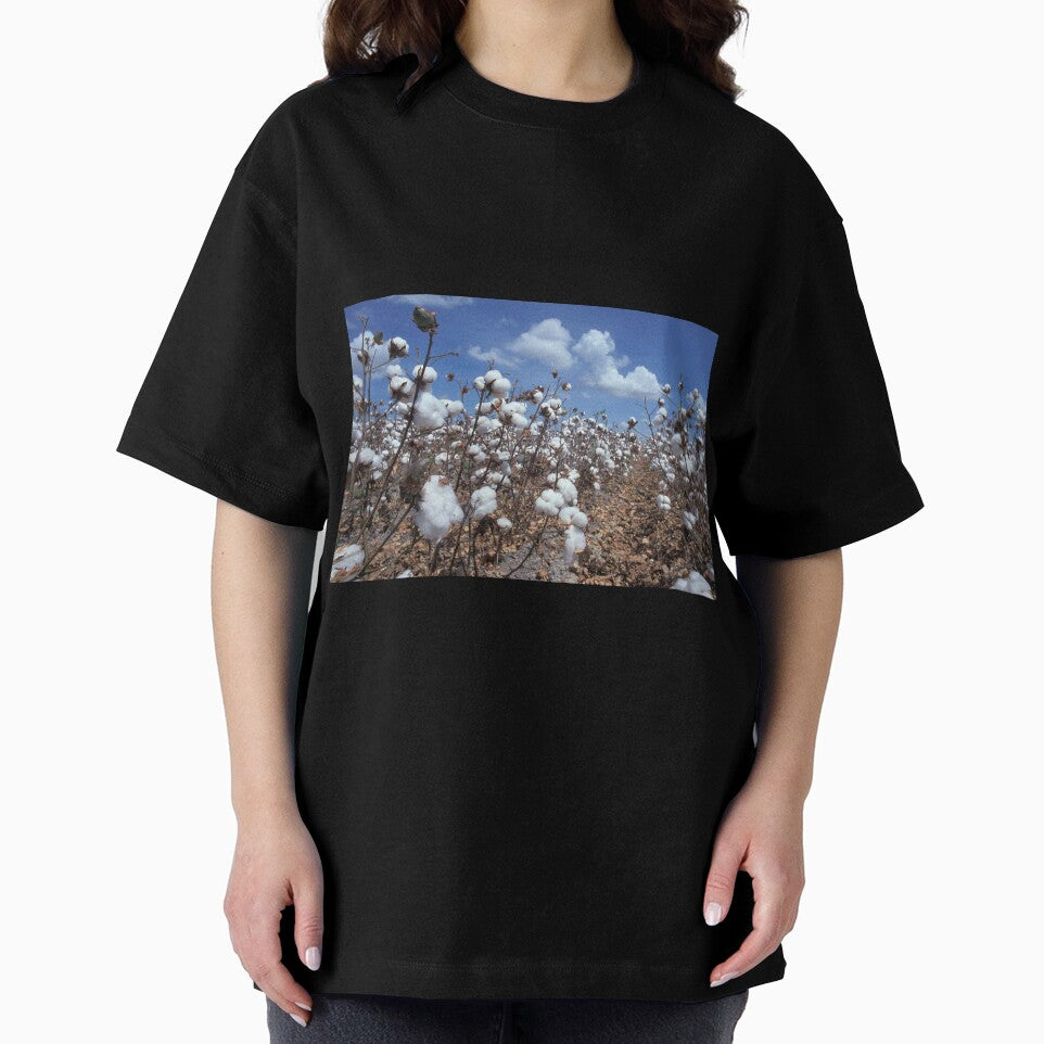 Cotton Field by BravuraMedia