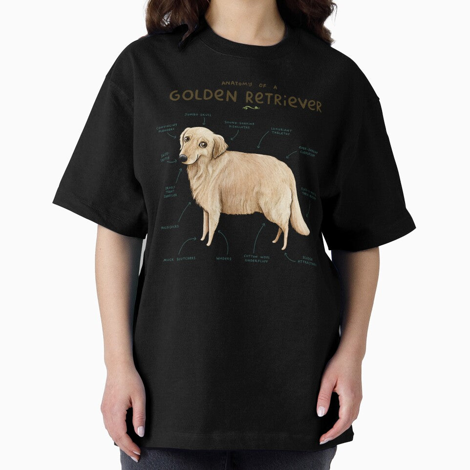 Anatomy of a Golden Retriever by SophieCorrigan