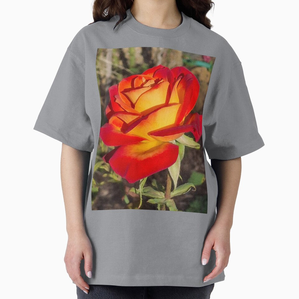 Stunning Rose by FABric Photos